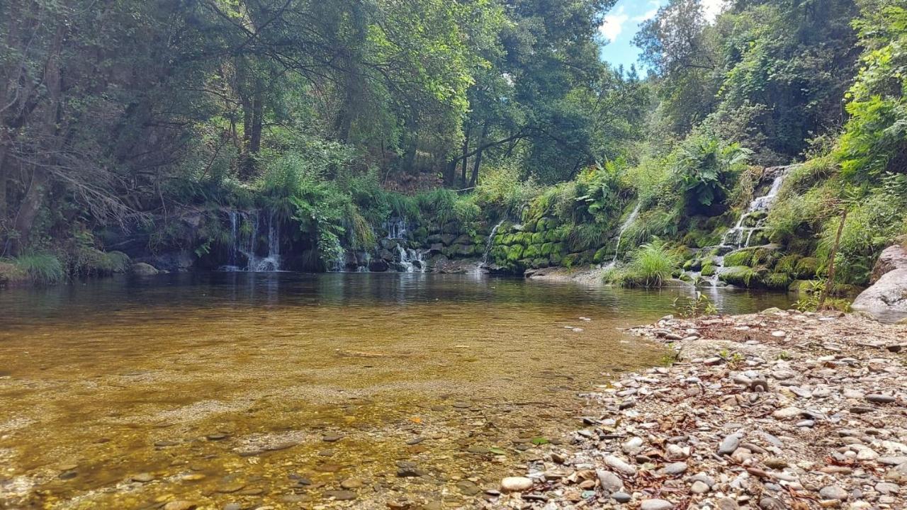 Sitio Dos Cogumelos Alojamentos Amarante Exterior foto